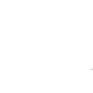 AMBER website